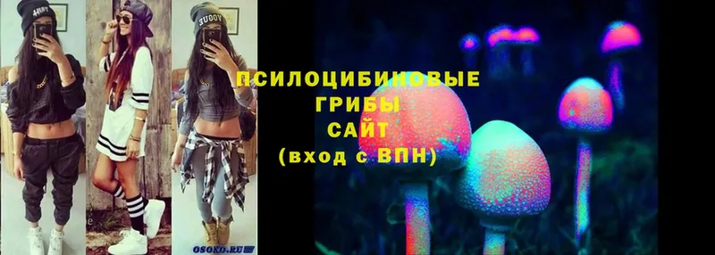 Псилоцибиновые грибы Magic Shrooms  Мегион 